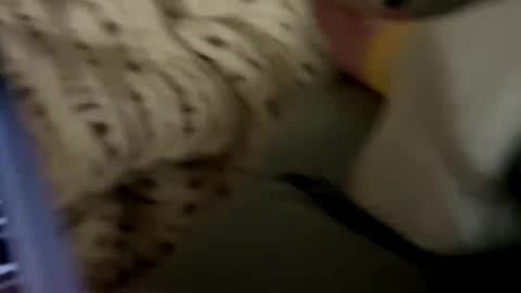 senecathestoic25 online show from 02/09/26, 03:54