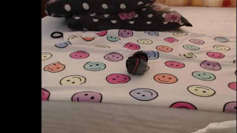 Anne online show from 10/25/25, 05:04