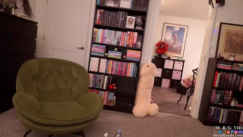 SeraReads online show from 01/06/25, 07:42