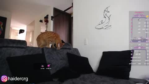 setth online show from 02/07/26, 06:00