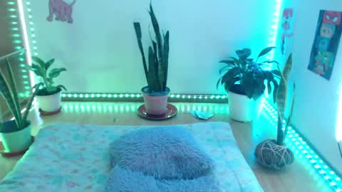 samy online show from 05/13/26, 01:47