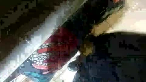 seus1149 online show from 07/23/26, 07:06