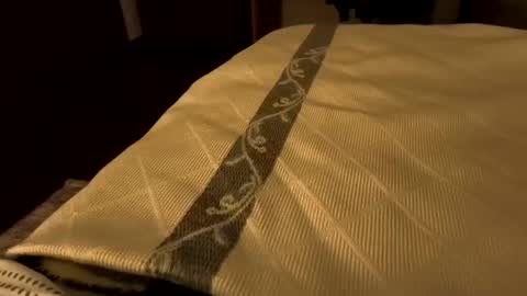 sevenorder online show from 01/21/25, 06:43