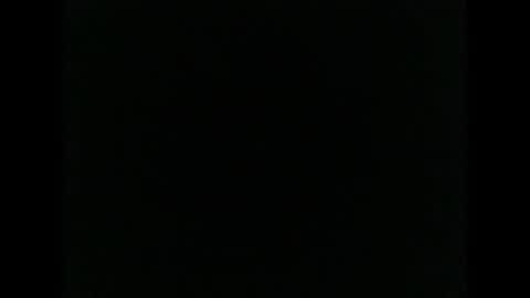 sex81a online show from 04/15/26, 11:50