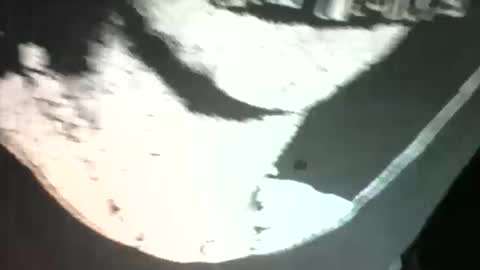 Snapshot of sexdeiv chatting on 03/13/26, 03:02 sexdeiv online show from 03/13/26, 03:02