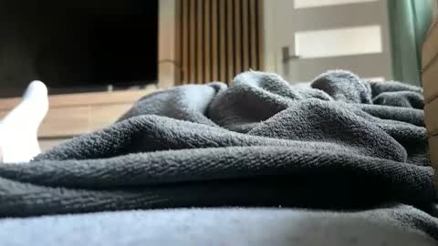 Anna online show from 04/26/26, 04:37