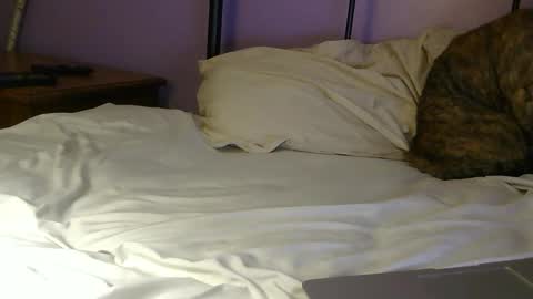 sexxxylibra10 online show from 04/25/26, 07:55