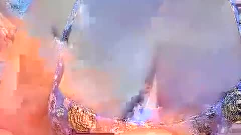 misslovely j online show from 03/02/25, 10:45