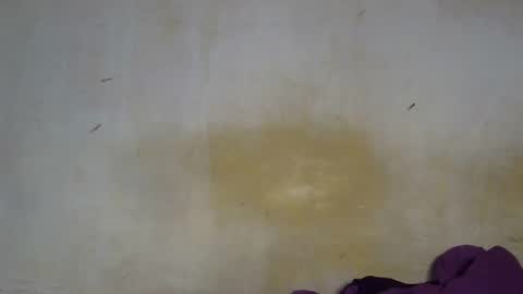 sexy_candy9 online show from 12/04/25, 10:57