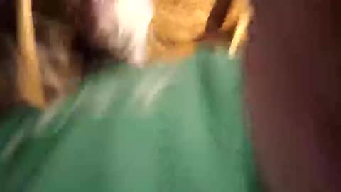 Snapshot of sexy_richy chatting on 04/12/26, 11:26 RICHY online show from 04/12/26, 11:26