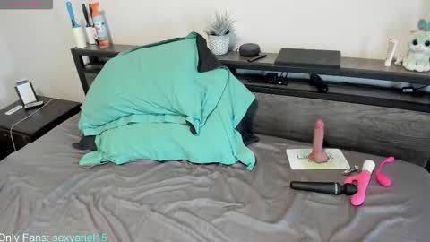 Snapshot of sexyariel15 chatting on 10/22/25, 04:51 SexyAriel15 online show from 10/22/25, 04:51