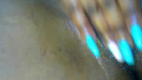 Lisa online show from 11/19/25, 12:49