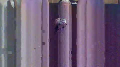 sexybeast_2 online show from 09/09/25, 11:43