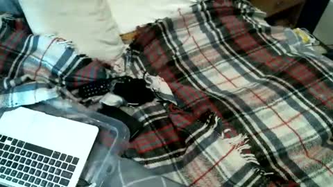 sexybiman74 online show from 01/31/26, 10:52