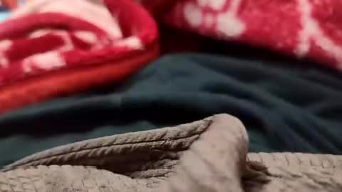 Sexyd online show from 12/01/24, 05:35