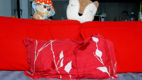 Ari online show from 12/16/24, 05:11