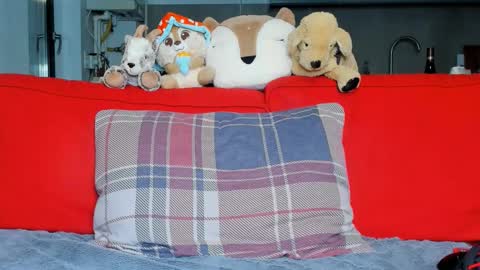 Ari online show from 10/05/25, 05:33