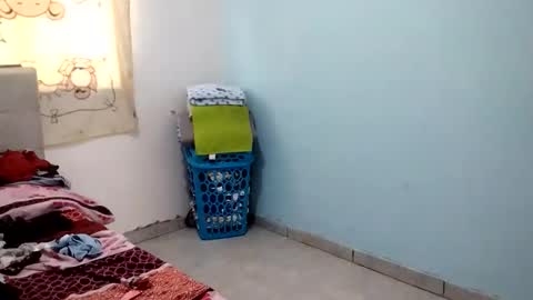 sexygril01 online show from 11/07/25, 06:41