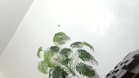 sexyhotbabe18 online show from 03/07/26, 09:56