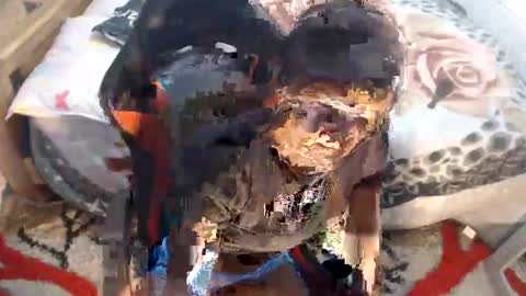 sexyjustin202 online show from 11/12/25, 02:45