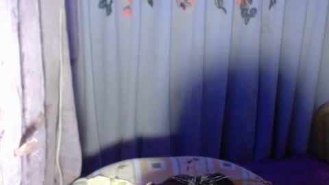 Snapshot of sexykagura chatting on 05/22/26, 04:56 Kagura3 online show from 05/22/26, 04:56