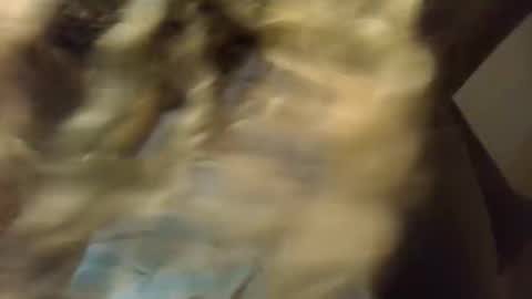 SexyKitty online show from 11/21/25, 05:50