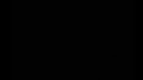 In the night in South America online show from 02/25/25, 06:14