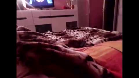 sexypairjuly online show from 11/04/25, 11:15