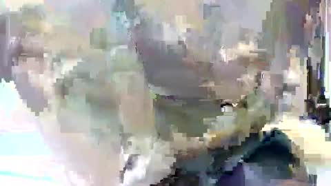 taiyan online show from 02/04/25, 11:16