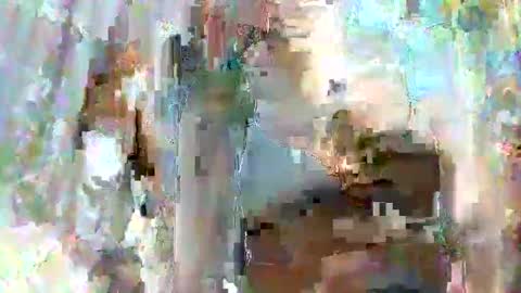 taiyan online show from 02/15/25, 01:31