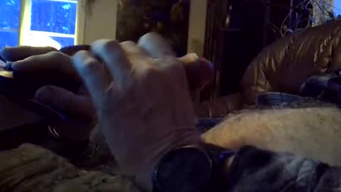 Snapshot of sgthard260486 chatting on 02/09/26, 06:28 sgthard260486 online show from 02/09/26, 06:28