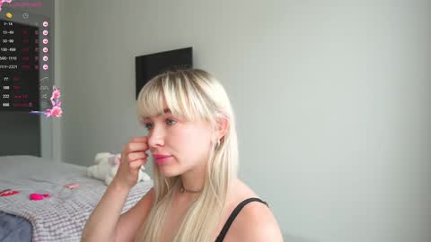 Snapshot of shadowladyyy chatting on 12/17/24, 03:39 Sindy and Nancy Next stream 1 December online show from 12/17/24, 03:39