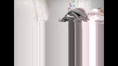 shagnasty95 online show from 04/09/26, 01:27