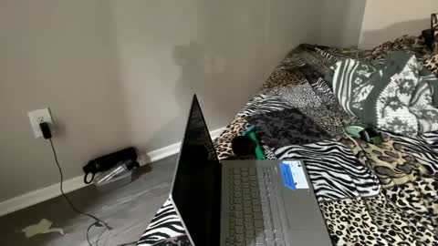 Snapshot of shamanwoman chatting on 12/02/24, 01:14 Shaman Woman online show from 12/02/24, 01:14