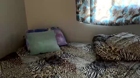 Snapshot of shamanwoman chatting on 12/06/24, 05:11 Shaman Woman online show from 12/06/24, 05:11