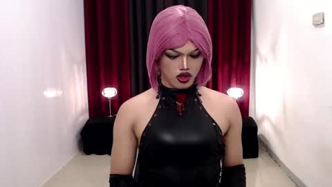 Shane X online show from 12/08/24, 06:28