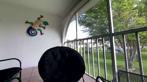 Shannon Spears online show from 01/05/25, 08:52