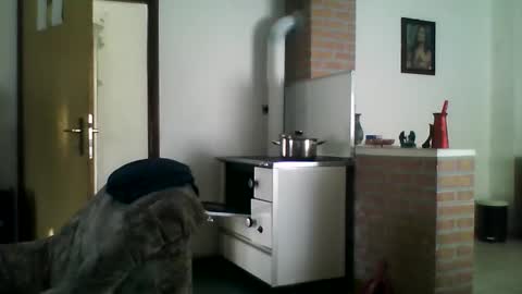 excelo21 online show from 12/22/24, 09:44