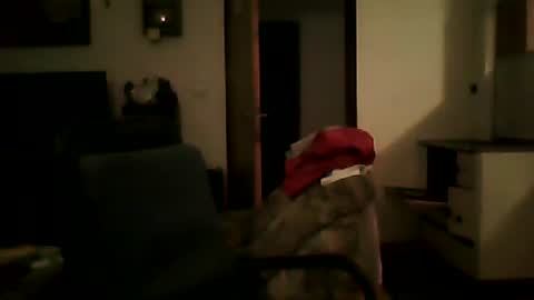 excelo21 online show from 01/25/25, 06:02