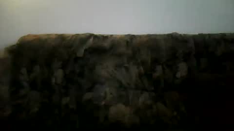 excelo21 online show from 02/02/25, 02:13