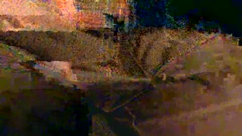 shapelyhelm1 online show from 02/14/25, 08:10