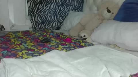 sharlot03 online show from 01/29/25, 10:48