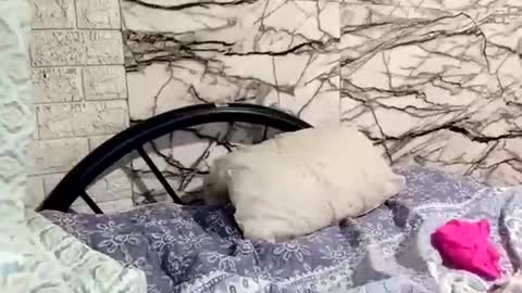 shayka09 online show from 03/23/26, 05:44