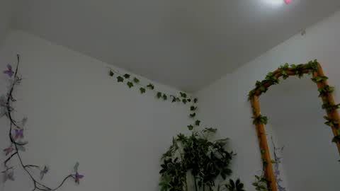 Shego  online show from 07/06/26, 12:18