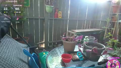 sheilyn_smith online show from 06/02/26, 02:02