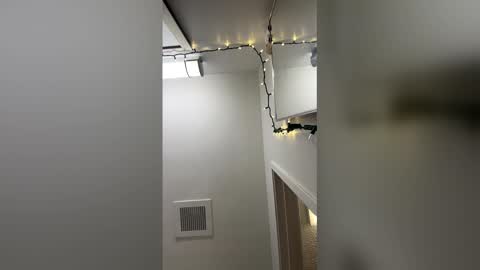 Snapshot of shelbsss17 chatting on 03/18/26, 02:31 shelbsss17 online show from 03/18/26, 02:31