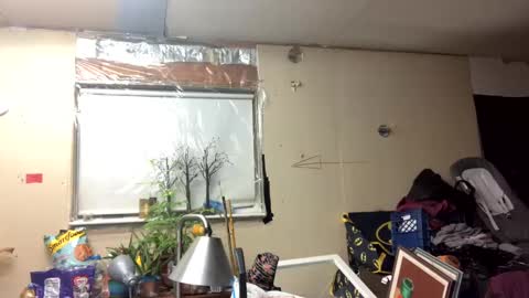 Shelby holes online show from 03/10/25, 11:42