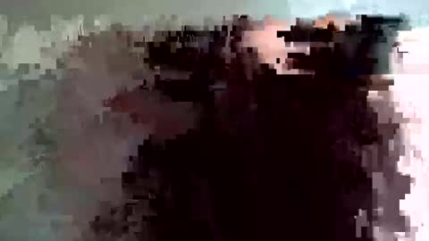 shelfeesh online show from 11/18/25, 09:36