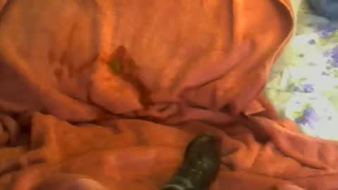 sherbearxrayghost online show from 04/07/26, 03:23