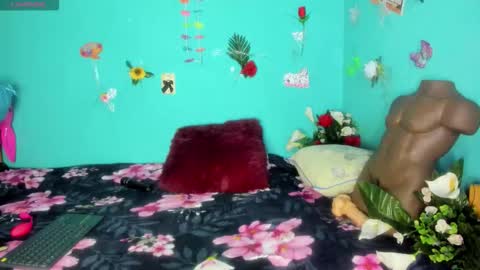 Shera Hade online show from 03/08/26, 02:04